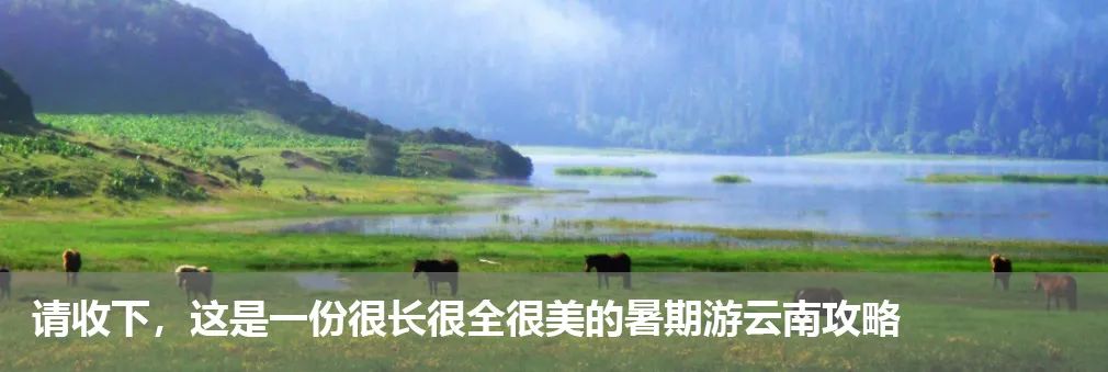 想清凉一夏?来云南就对了!