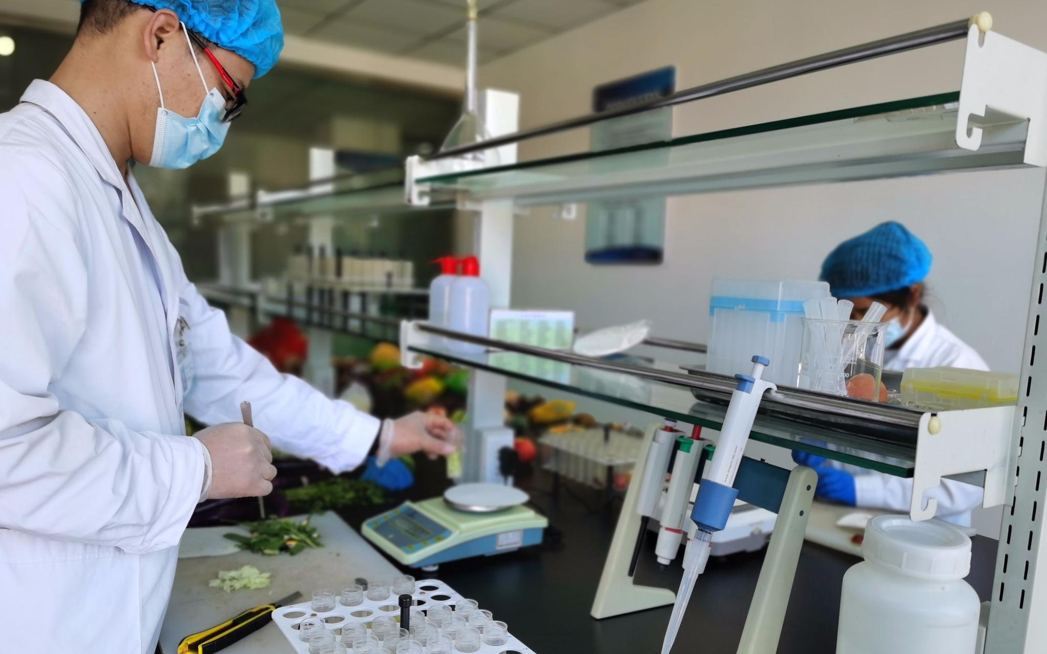 河北高碑店新发地的食品检测室加强了商品抽检频次，尤其对销售量大的叶类蔬菜加强检测。摄影/新京报记者 陈琳