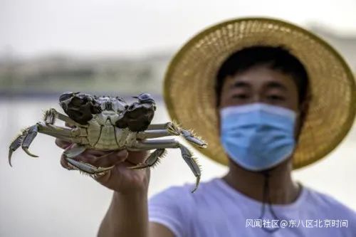 当地渔民展示收获的螃蟹