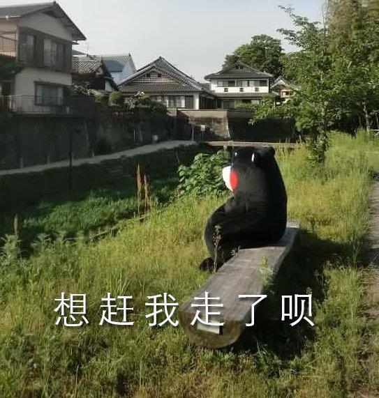 熊本熊套路表情包为什么不秒回我信息