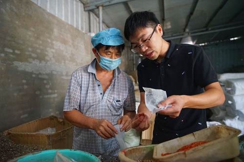贫苦户刘运彬(左一)在扶贫车间装中药包,每月收入能达2000多元。李希蒙摄