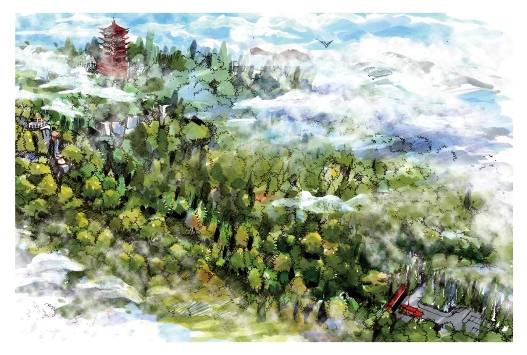 手绘缙云山 北碚区委宣传部供图