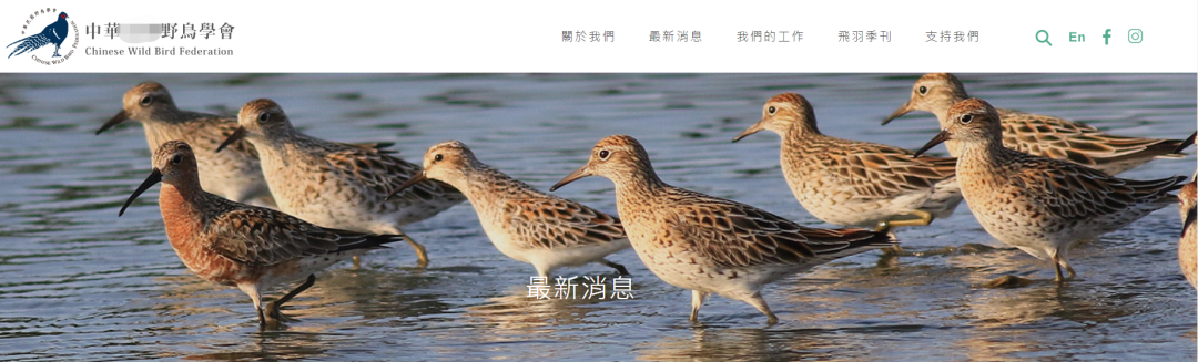 中湾“台”鸟会华官网截图。