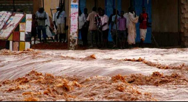 美国野猪泛滥成灾，为什么宁愿损失十亿美元，美国人也...