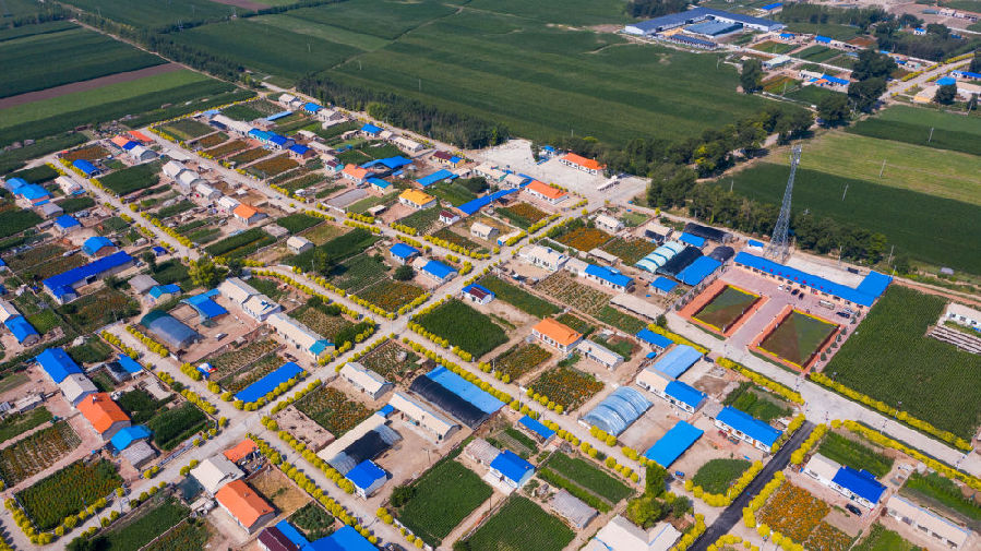 这是吉林省大安市永强村(7月23日摄,无人机照片)。新华社记者 张楠 摄