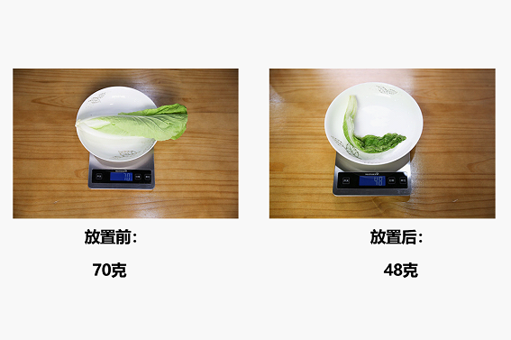 普通冰箱中的白菜