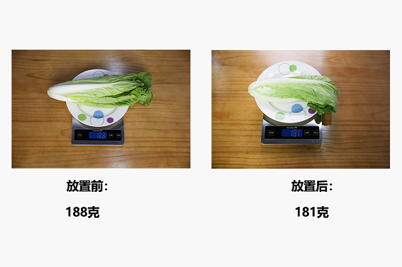 容声WILL冰鲜箱中的白菜