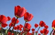 退休后,有三件事儿千万不要省!启发无数中老年人休闲区蓝鸢梦想 - Www.slyday.coM 退休后,有三件事儿千万不要省!启发无数中老年人休闲区蓝鸢梦想 - Www.slyday.coM