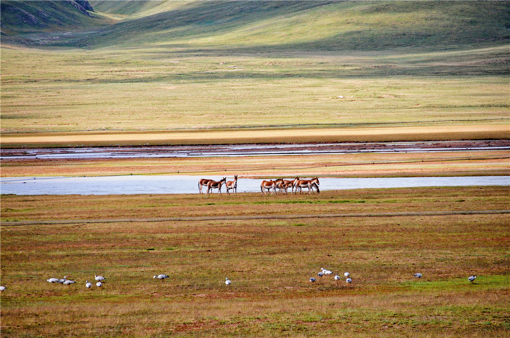 黄河源头简谱_黄河源头简谱歌谱(3)