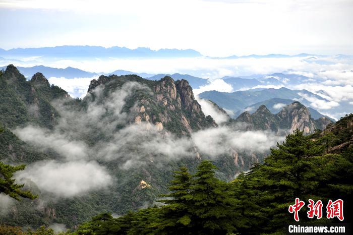 19日上午,黄山云雾缭绕,幻如仙境。 王辉 摄