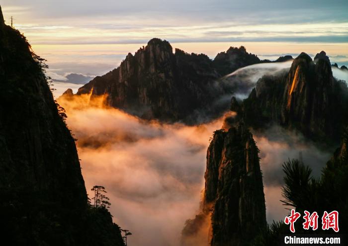 18日晚,黄山云海在晚霞陪衬下,金辉熠熠。 李金刚 摄