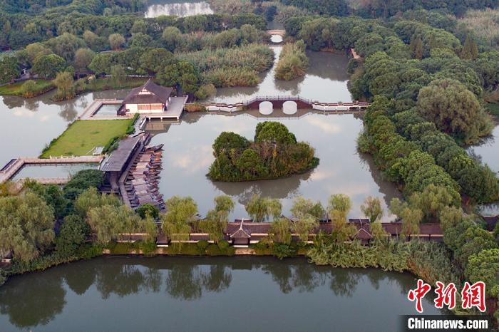 沙家浜河浜纵横,芦苇密布。泱波 摄
