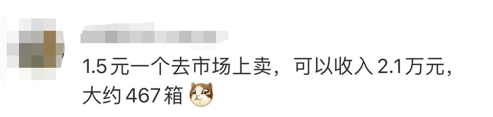 大学生中奖1.4万个鸡蛋,怎么吃?后续来了休闲区蓝鸢梦想 - Www.slyday.coM 大学生中奖1.4万个鸡蛋,怎么吃?后续来了休闲区蓝鸢梦想 - Www.slyday.coM