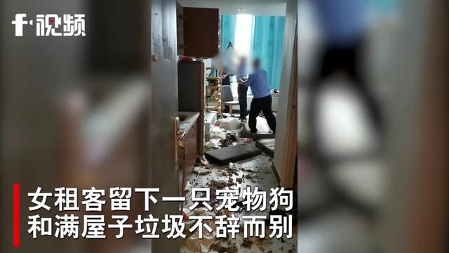 女租客“失联”:留下一条“二哈”、满屋垃圾!房东傻眼了休闲区蓝鸢梦想 - Www.slyday.coM 女租客“失联”:留下一条“二哈”、满屋垃圾!房东傻眼了休闲区蓝鸢梦想 - Www.slyday.coM