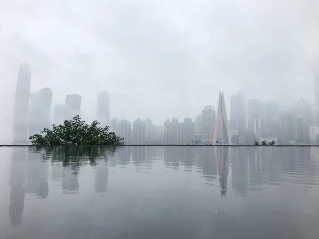 细雨绵绵,母城渝中被雨雾包围。邹乐 摄