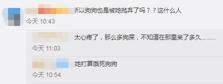 女租客“失联”:留下一条“二哈”、满屋垃圾!房东傻眼了休闲区蓝鸢梦想 - Www.slyday.coM 女租客“失联”:留下一条“二哈”、满屋垃圾!房东傻眼了休闲区蓝鸢梦想 - Www.slyday.coM