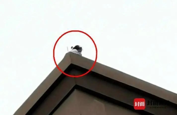 秋天的第一杯奶茶,民警用它救下了轻生女孩休闲区蓝鸢梦想 - Www.slyday.coM 秋天的第一杯奶茶,民警用它救下了轻生女孩休闲区蓝鸢梦想 - Www.slyday.coM