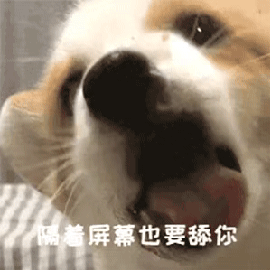 舔狗表情包gif图合集|让我做姐姐的舔狗