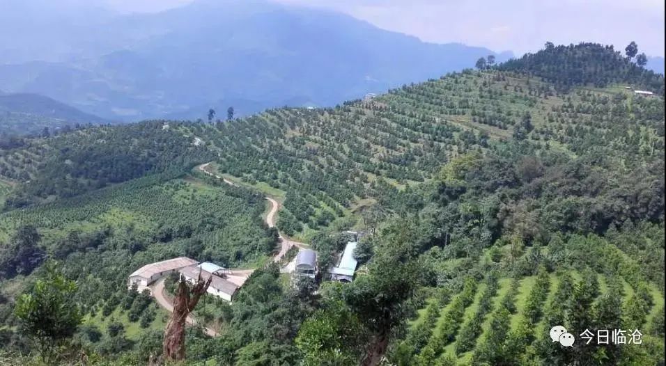 【公示】云南两地拟获国家级称号