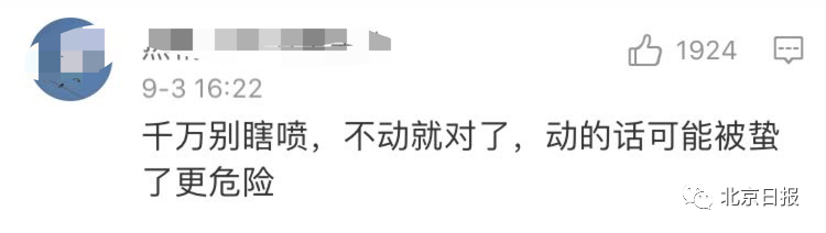 女生军训被蜜蜂爬嘴仍一动不动!拍视频的教官回应了