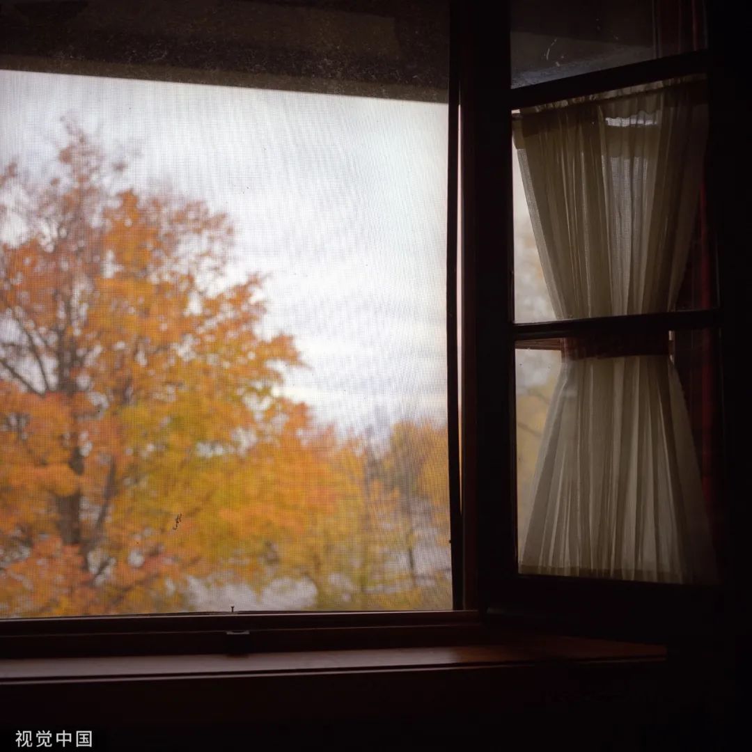 品读 | 如果看不清未来,就走好当下的路