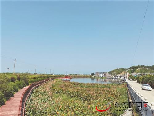 揭西棉湖镇人口_揭西棉湖镇街景(2)