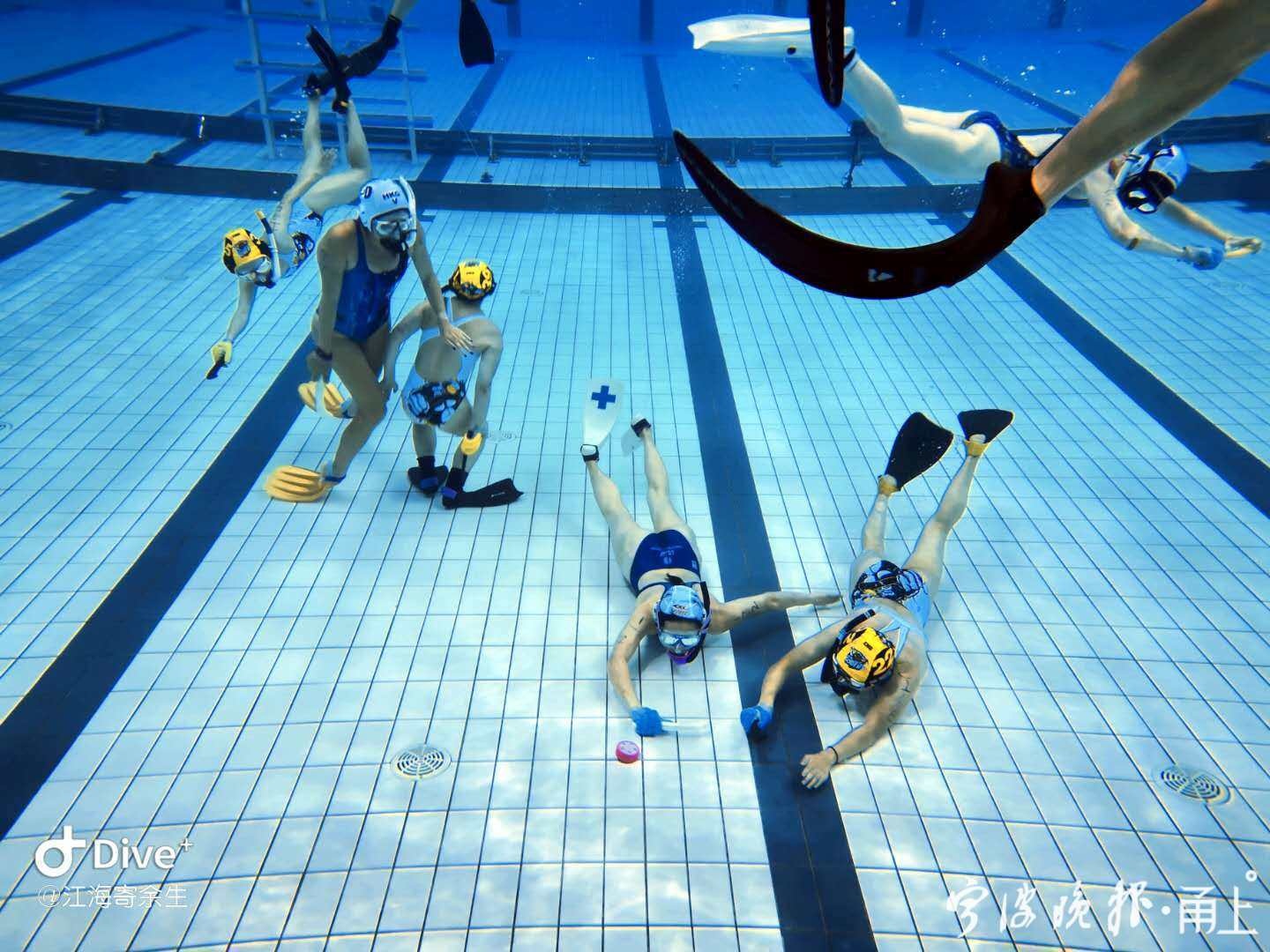 比花样游泳还好看!宁波“人鱼姑娘”进入这项运动的国家队了休闲区蓝鸢梦想 - Www.slyday.coM 比花样游泳还好看!宁波“人鱼姑娘”进入这项运动的国家队了休闲区蓝鸢梦想 - Www.slyday.coM