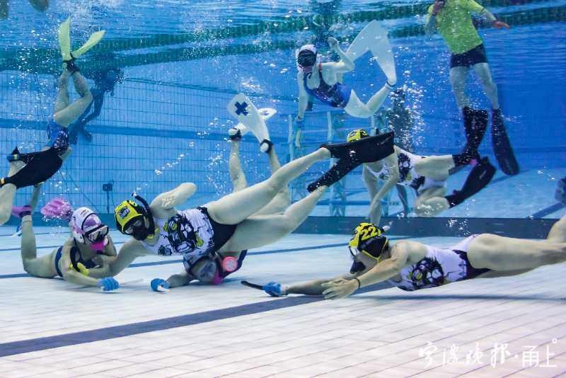 比花样游泳还好看!宁波“人鱼姑娘”进入这项运动的国家队了休闲区蓝鸢梦想 - Www.slyday.coM 比花样游泳还好看!宁波“人鱼姑娘”进入这项运动的国家队了休闲区蓝鸢梦想 - Www.slyday.coM