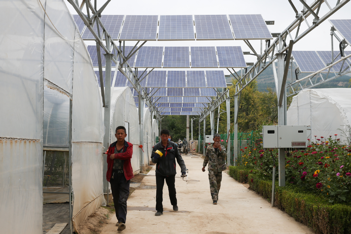 常家河镇人口_人口普查(2)