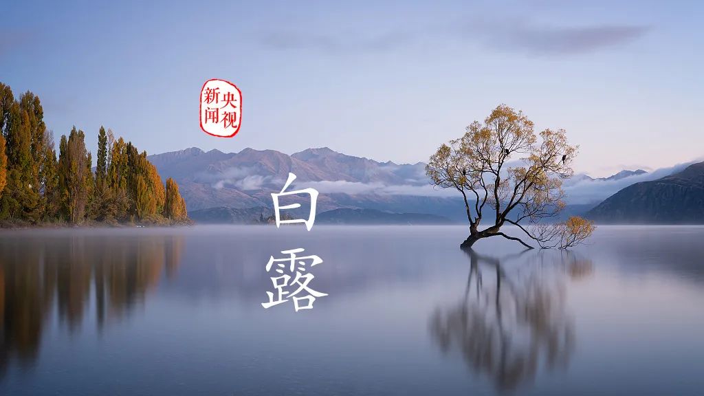 夜读| 白露:一场秋雨一场寒|白露节气:玉露生凉_新浪