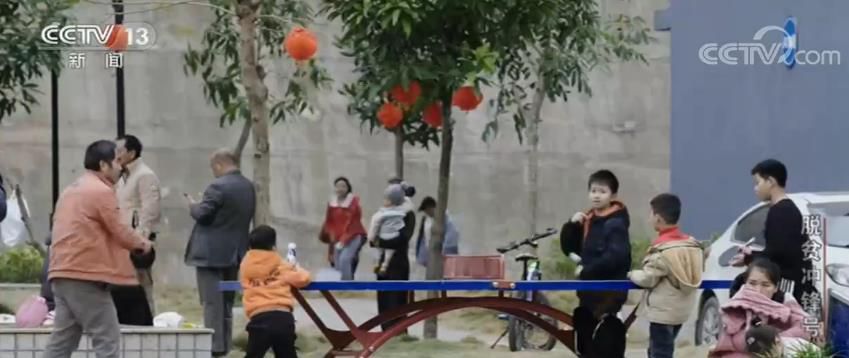 新闻调查·脱贫冲锋号|中国的脱贫攻坚,是各行各业无数人努力汇成的森林