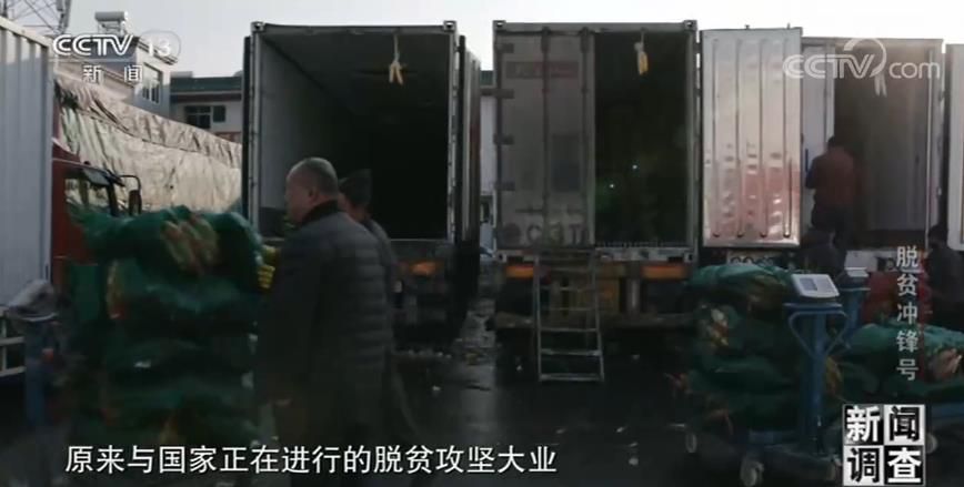 新闻调查·脱贫冲锋号|中国的脱贫攻坚,是各行各业无数人努力汇成的森林