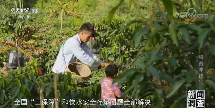 新闻调查·脱贫冲锋号|中国的脱贫攻坚,是各行各业无数人努力汇成的森林