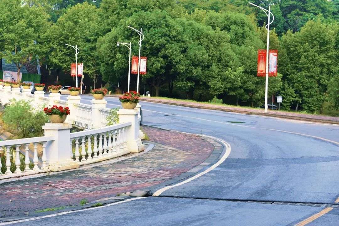 终于回到校园!他们的感想是?