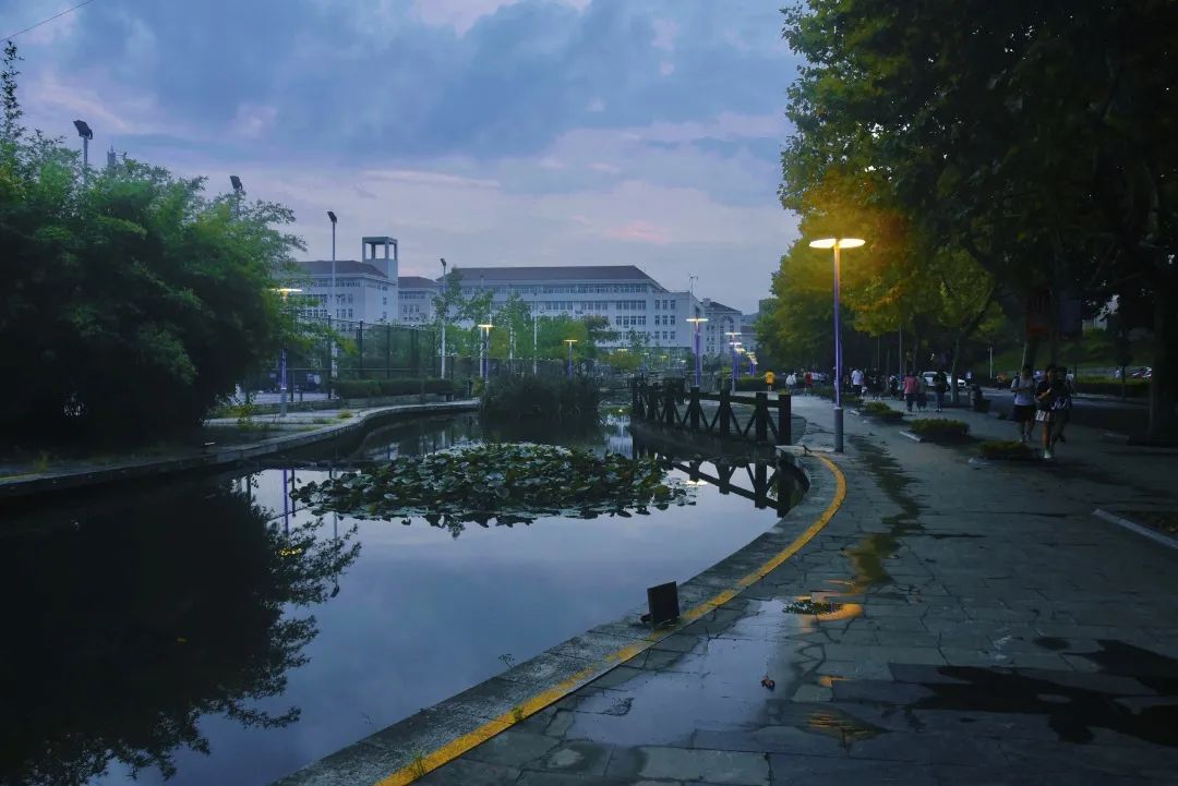 终于回到校园!他们的感想是?