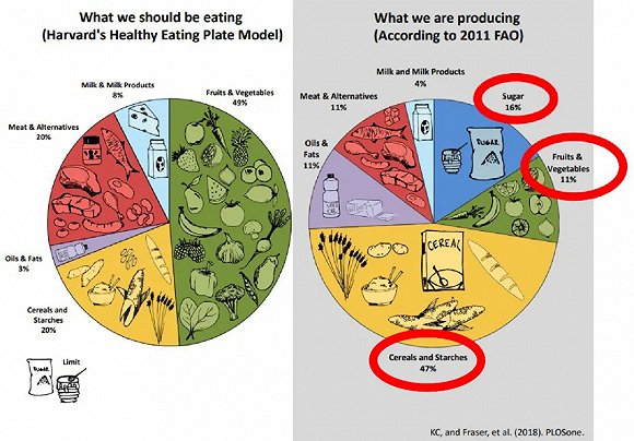 人口的激增让地球的粮食_节约粮食手抄报(2)