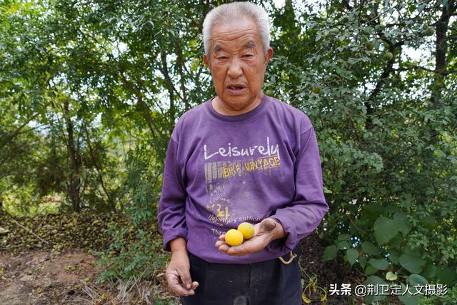 去年来了一个河南的游客,对这个"铁梨寨"果子很感兴趣,还拍过照片识别