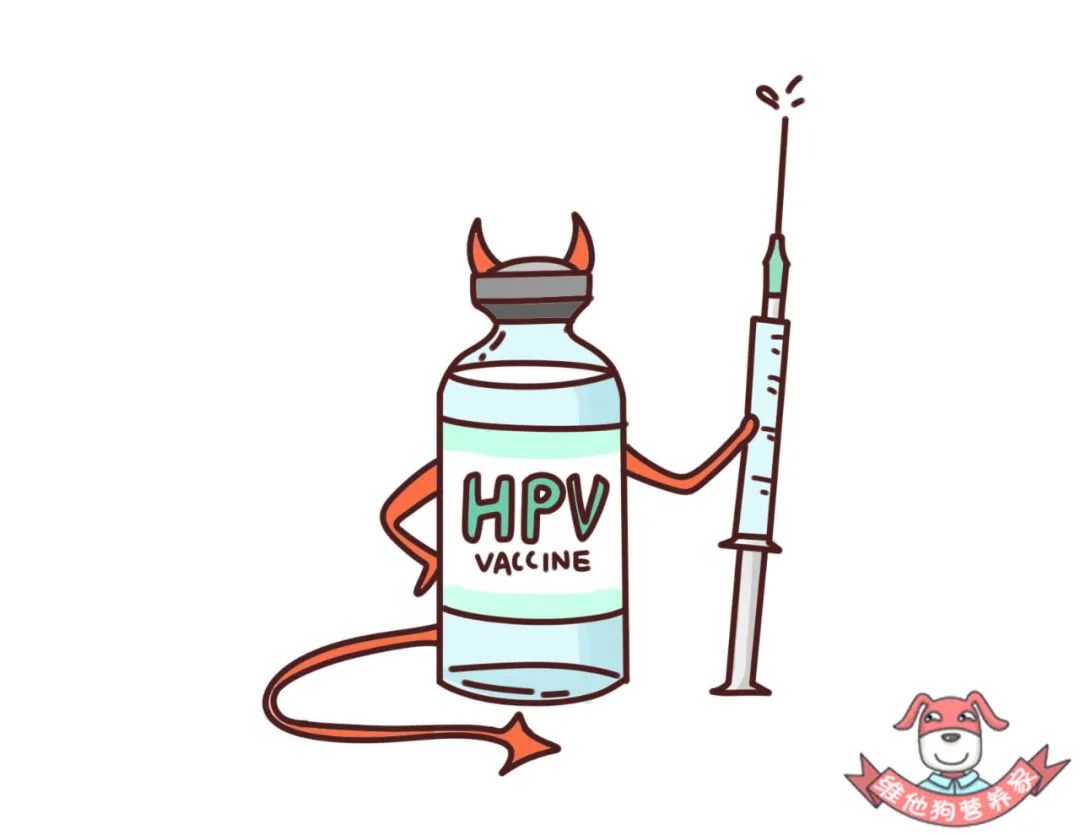 接种hpv疫苗前你必须弄清楚的几点问题