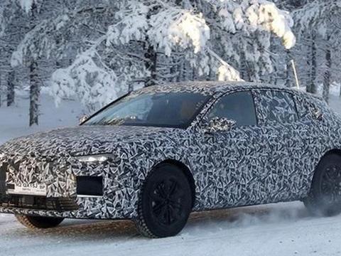 全新DS 4插混版谍照曝光 基于EMP2平台打造 搭1.2T插混动力