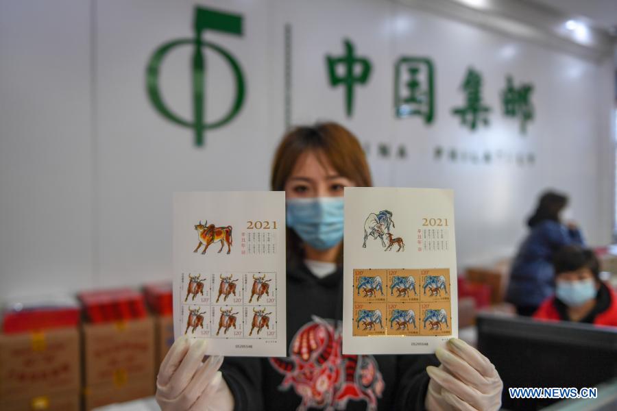 A staff member shows the newly issued special stamps themed on the Year of the Ox in Changchun, northeast China's Jilin Province, Jan. 5, 2021. China Post on Tuesday issued a set of two special stamps to mark the upcoming Year of the Ox. (Xinhua/Zhang Nan)