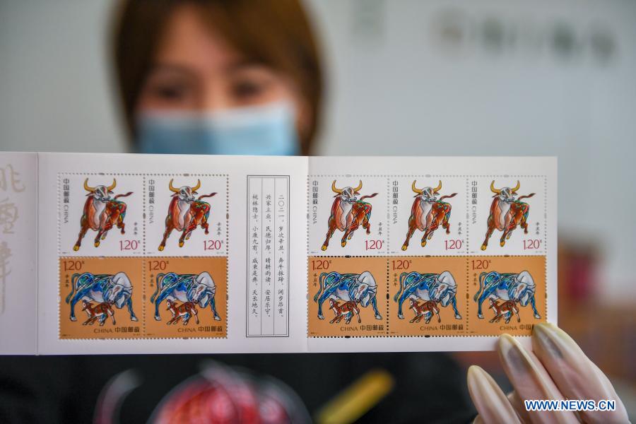 A staff member shows the newly issued special stamps themed on the Year of the Ox in Changchun, northeast China's Jilin Province, Jan. 5, 2021. China Post on Tuesday issued a set of two special stamps to mark the upcoming Year of the Ox. (Xinhua/Zhang Nan)