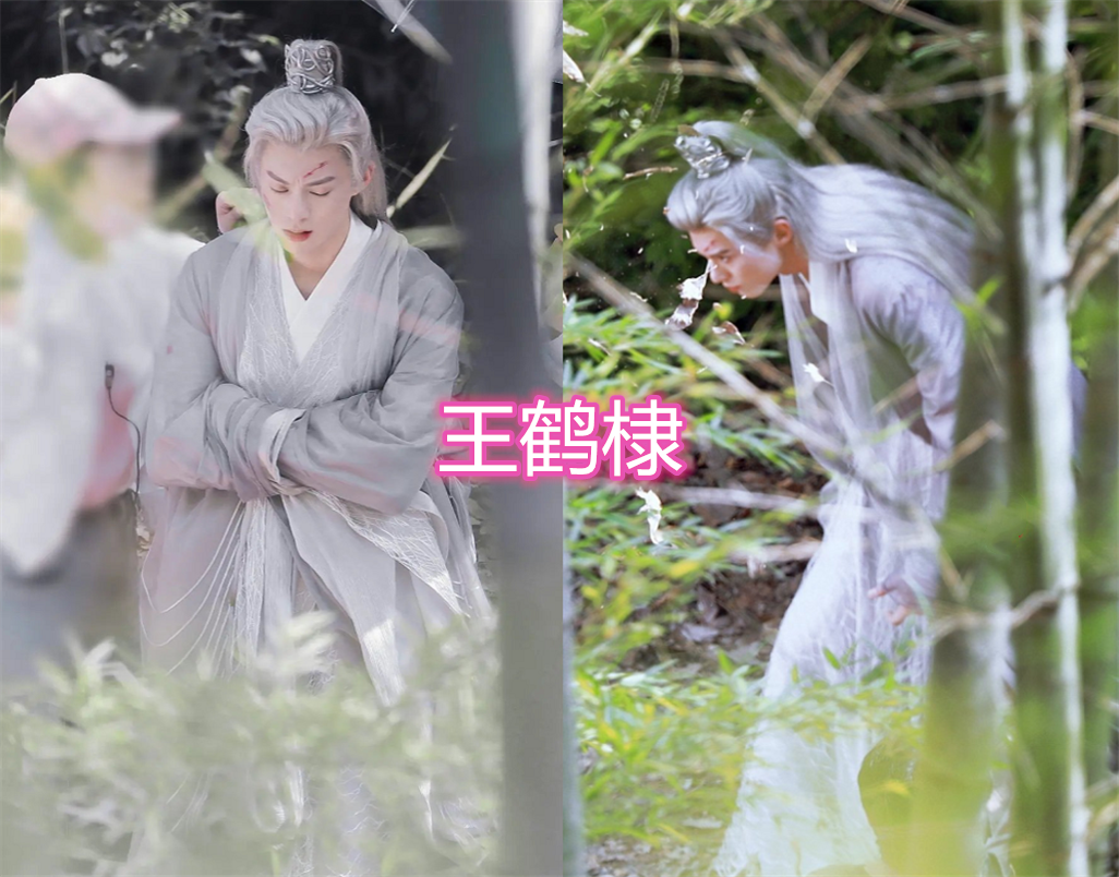古装银发,任嘉伦高伟光很仙气,刘学义高颜值,王鹤棣真是太帅了