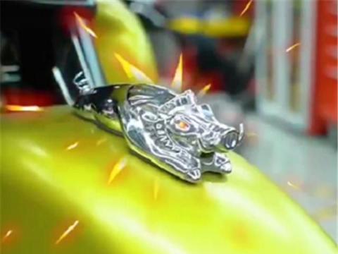 “鹰眼黄”哈雷摩托车,整车定制,限量900台,改装就花了6位数