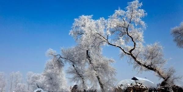 桦甸上门服务500三个小时可信不