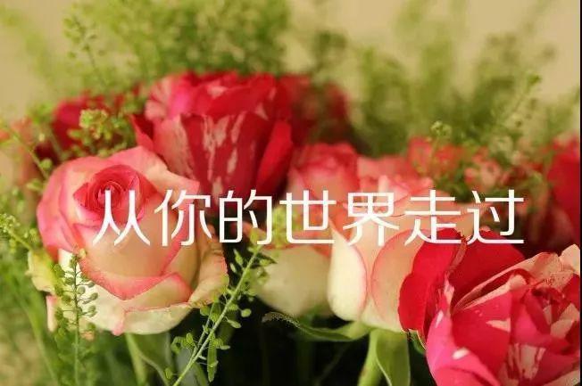 心里有你,才是爱你的人 在爱情里,说爱你的人