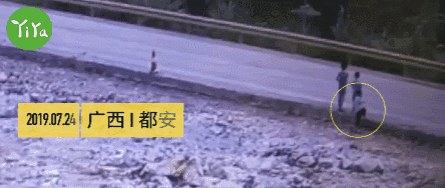 3岁女童横穿马路10次后被撞:耽误一个孩子,就是让他不守规则休闲区蓝鸢梦想 - Www.slyday.coM 3岁女童横穿马路10次后被撞:耽误一个孩子,就是让他不守规则休闲区蓝鸢梦想 - Www.slyday.coM