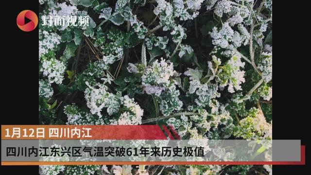 —2.9℃ 四川内江东兴区气温突破61年来最低值