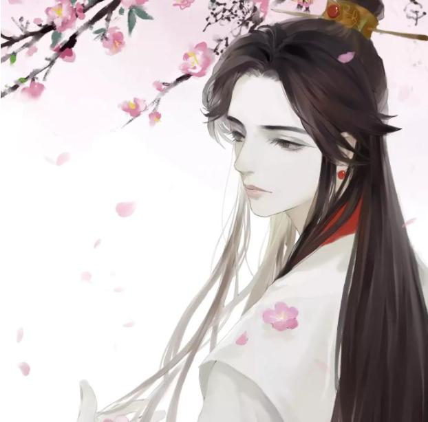 天官赐福君吾和谢怜之间差的并不是一个花城而是国师梅念卿