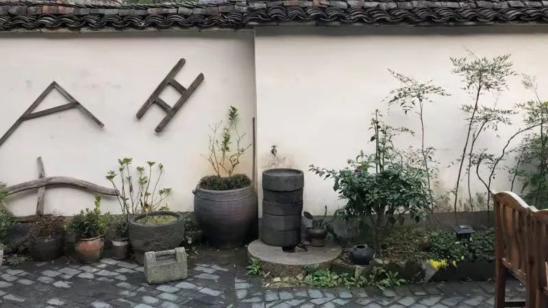 乡村美丽庭院图片网络爆红!羡慕煞众网友!
