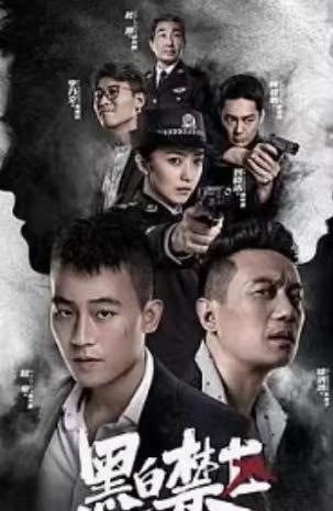 黑白禁区终于开播它主要讲述的是一个怎样的故事